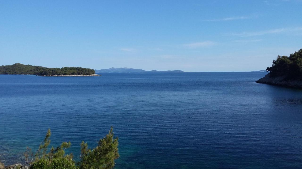 Apartments By The Sea Cove Zaglav, Korcula - 12208 Prizba Bagian luar foto